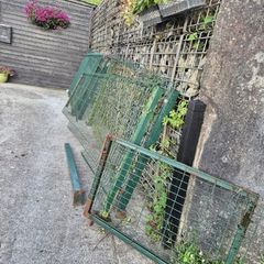 dog run