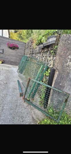 dog run