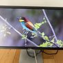 Dell P2314HT 23" Monitor | 1080p LED | DisplayPort / VGA / DVI Image 3