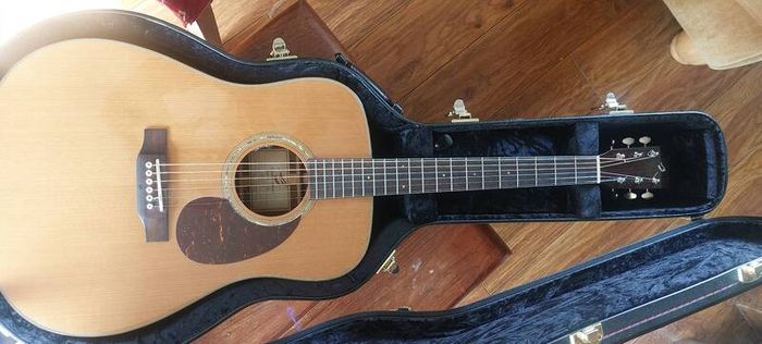 Breedlove Cascade D/CRe +LR Baggs VTC and Hardshell Original Case