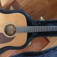 Breedlove Cascade D/CRe +LR Baggs VTC and Hardshell Original Case