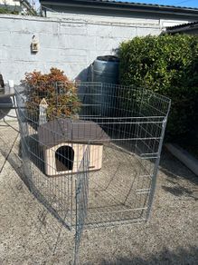 dog kennel