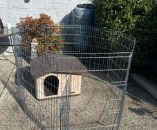 dog kennel