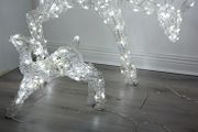 christmas reindeers