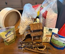 Hamster food, housing, litter and wheel