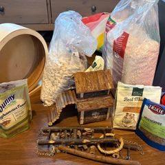 Hamster food, housing, litter and wheel