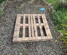 wooden pallet