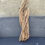 Driftwood Image 5