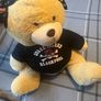 Blackpool Teddy bear Image 3