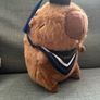 Graduation Teddy Bear Panda Capybara Plush Toy Image 3