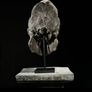 Museum quality replica of a silverback gorilla skull on custom stand Image 4