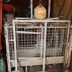 Sheep weighing scales