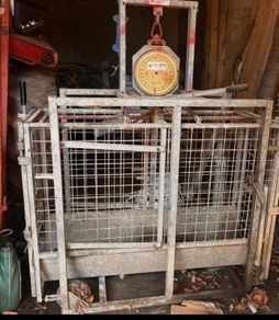 Sheep weighing scales
