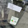 Window Image 5