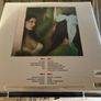 Lana Del Rey  |  Did You Know That There's a Tunnel Under Ocean Boulevard  {Lime Vinyl Edition} Image 2