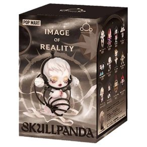 POP MART SKULLPANDA Image Of Reality Series Figures