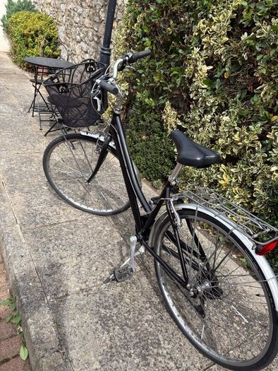 Ladies Bicycle