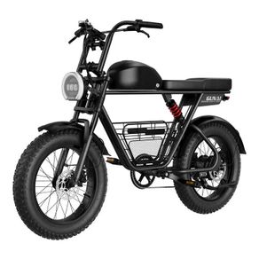 Gunai-T All-terrain Electric Bike