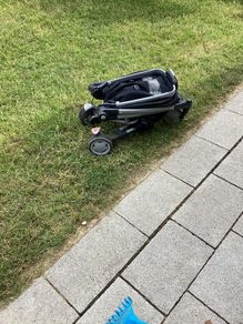 buggy