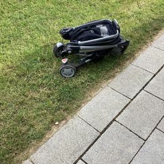 buggy
