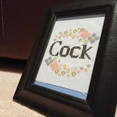 Framed stitched fun