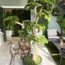 Large artificial plants Image 5