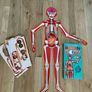 Make your own human body model Puzzle and book Image 2