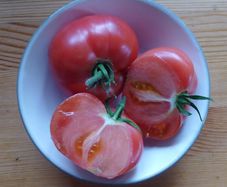 Tomato 'Berner Rose' Irish Seeds