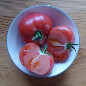 Tomato 'Berner Rose' Irish Seeds
