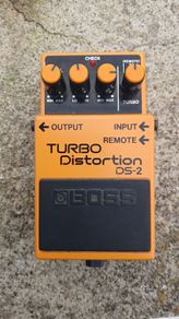 Boss DS-2