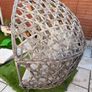 Rattan garden chair Image 5
