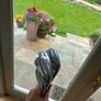 Callaway apex pro 21 irons. ( great condition) Image 2