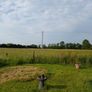 Rent  for hay or silage stil available Image 3