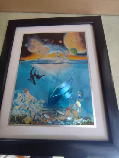 Lovely Framed Print Of Dolphin Sea Life Marine.