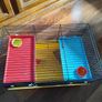 Hamster rodent cage Image 2