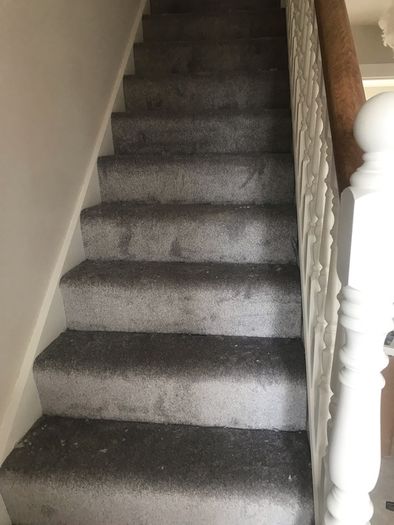 Carpet