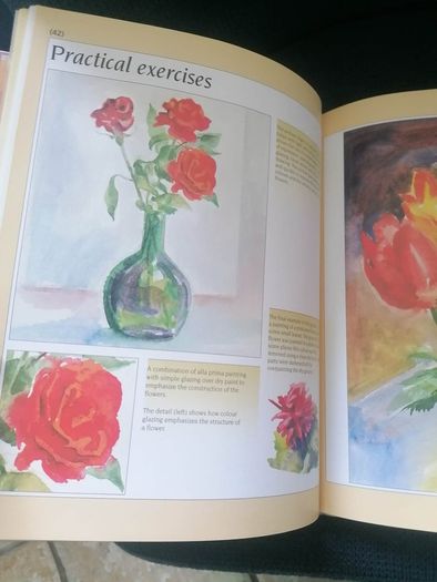 Watercolour Painter's Handbook