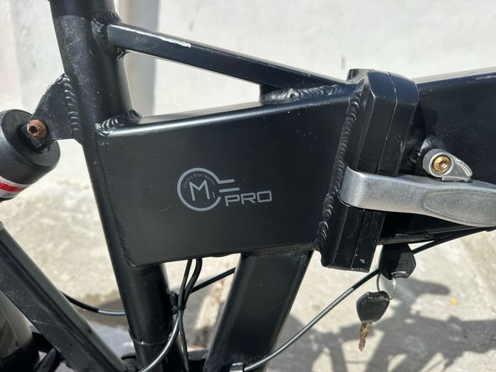 Fiido M1 Pro Electric Bike