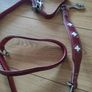 Dog Leash Image 5