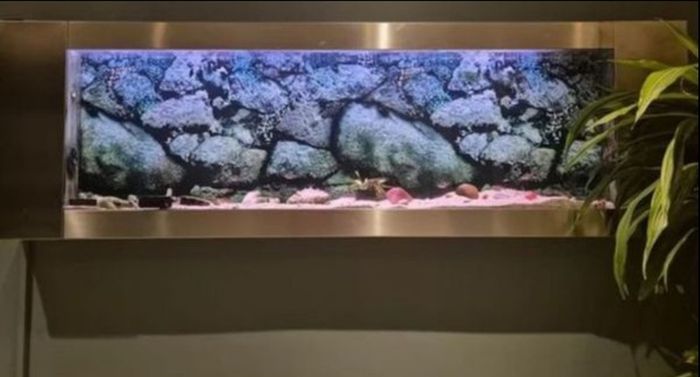 Long Aqua Scape Tank
