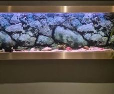 Long Aqua Scape Tank