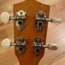 Cedar and willow concert ukulele with case Image 6
