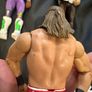 WWE Legends Wrestling Figures Image 6