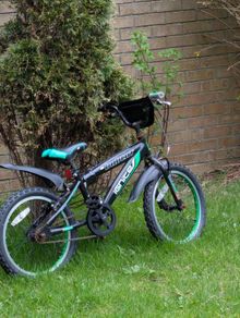 FREE Kids Bike