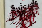 Suicide Double CD with extra live album. Perfect condition. Rare and collectable release that is cheaper than online prices.