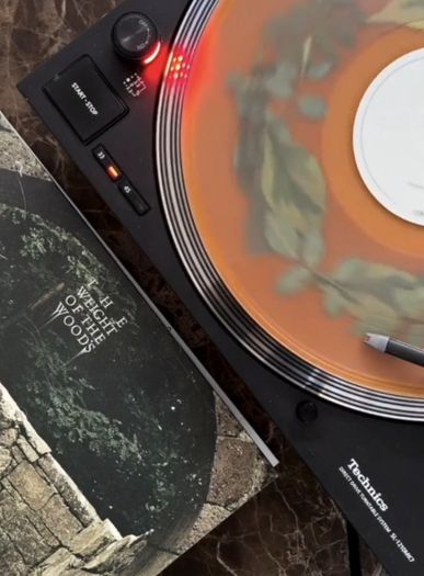 Dermot Kennedy "The Weight Of The Woods" Vinyl - Limited Woodland Green Edition LP - Rare 180g Collectible - Irish Indie-Pop Exclusive
