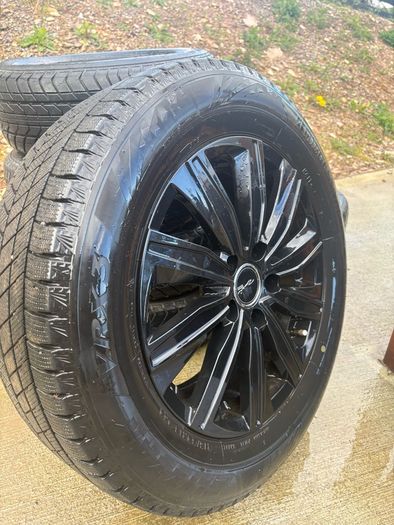 alloys