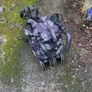 Stroller - Cosatto Image 5