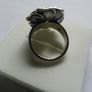Ring Image 5