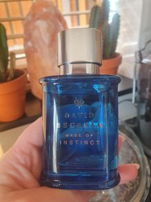 David Beckham-Made Of Instinct